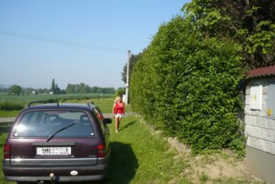 Hlavné výhody Zázračného živého plotu s technológiou WonderHedge®